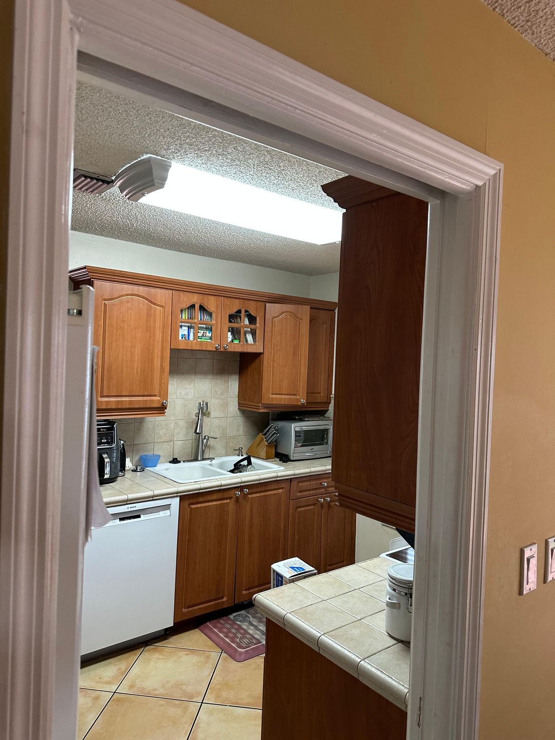 Kitchen renovation before — original sink and dishwasher wall